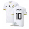 Officiële Voetbalshirt Ghana Andre Ayew 10 Thuis WK 2022 - Heren